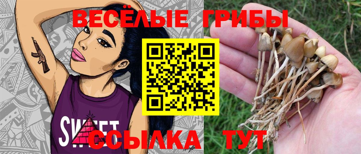 Псилоцибиновые грибы GOLDEN TEACHER Назрань